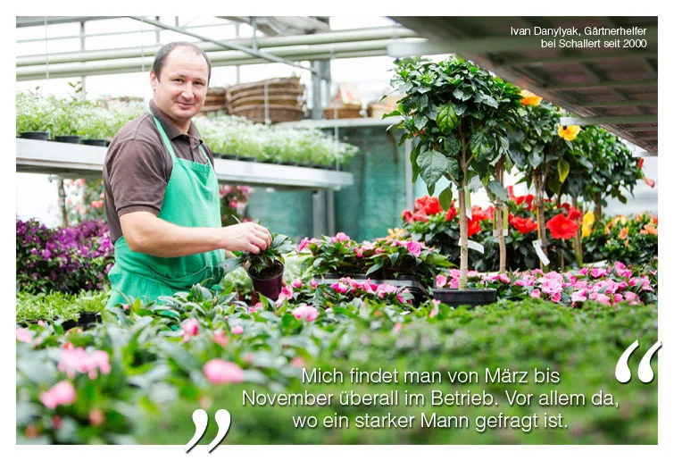 Ivan Danylyak, Gärtnerhelfer, bei Schallert seit 2000, bei Schallert Blumen